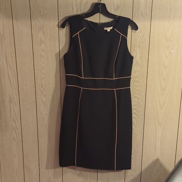 Ann Taylor Loft sheath dress. Sheath dresses are form-fitting, straight-cut - Picture 2 of 5